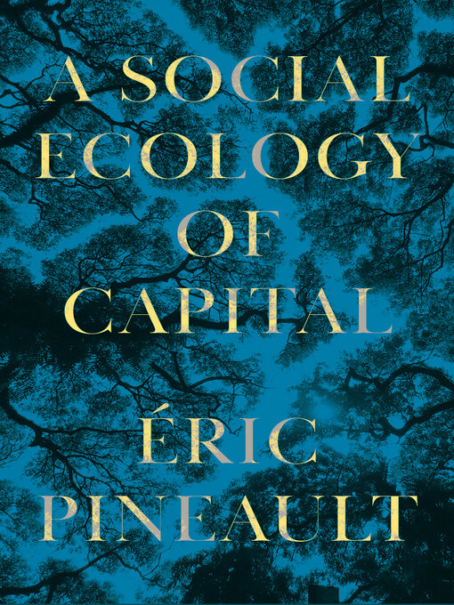 Title details for A Social Ecology of Capital by Éric Pineault - Available